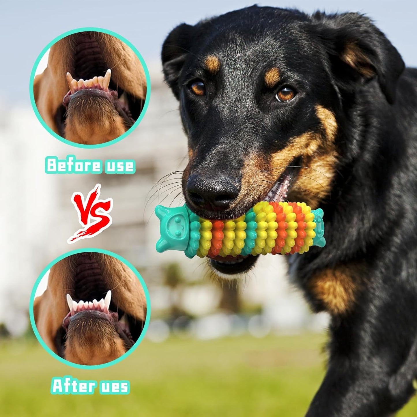 Juguetes para masticar para perros agresivos Juguetes duraderos para perros de razas grandes, medianas y pequeñas Juguetes de goma indestructibles para la dentición de perros Juguetes interactivos resistentes para perros al aire libre para entretenimiento