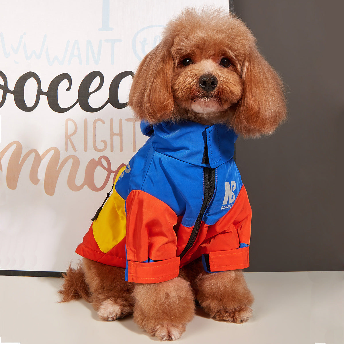 Ropa para perros Chaqueta Otoño e Invierno Impermeable Cálido Impermeable