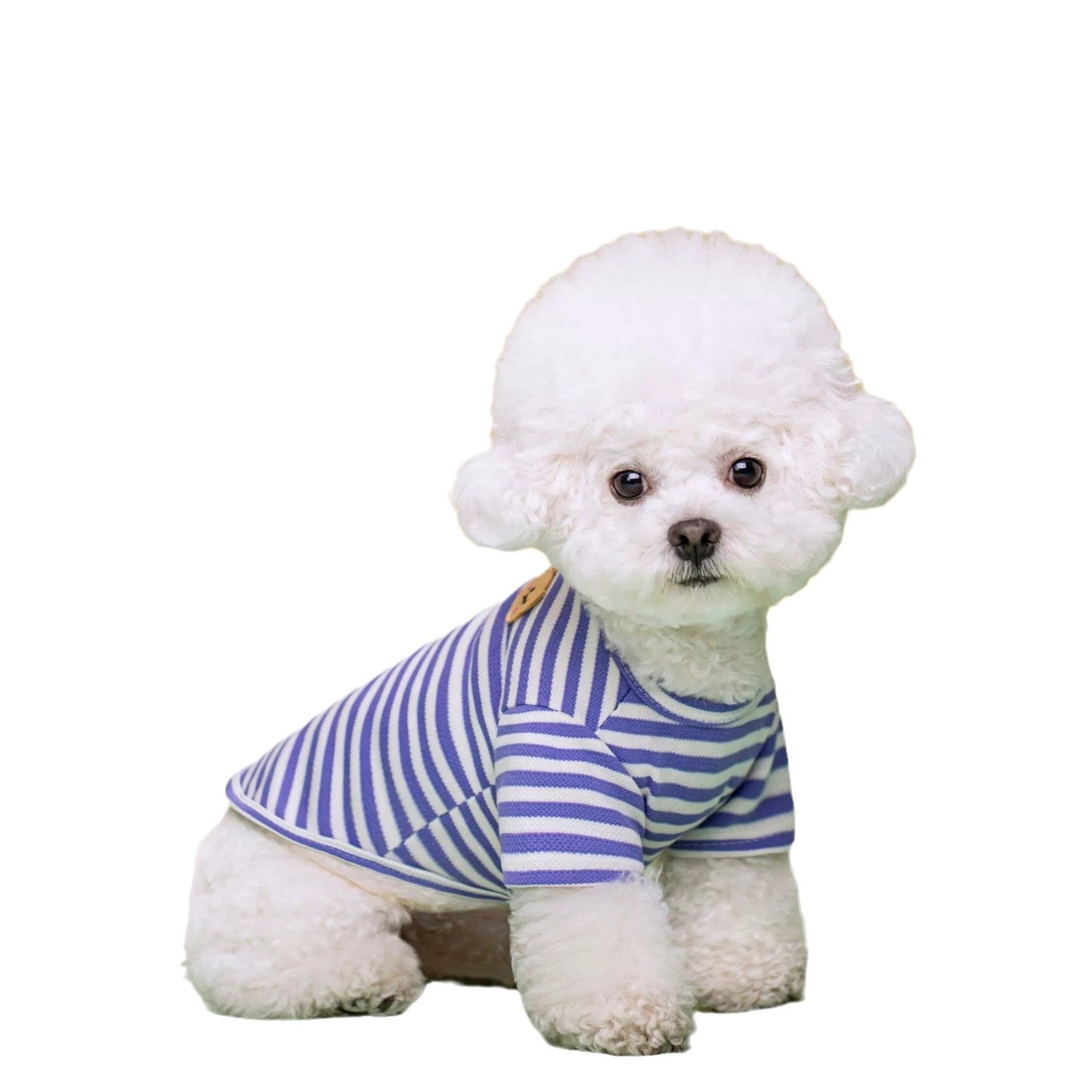 Ropa de verano para perros y mascotas, camiseta transpirable