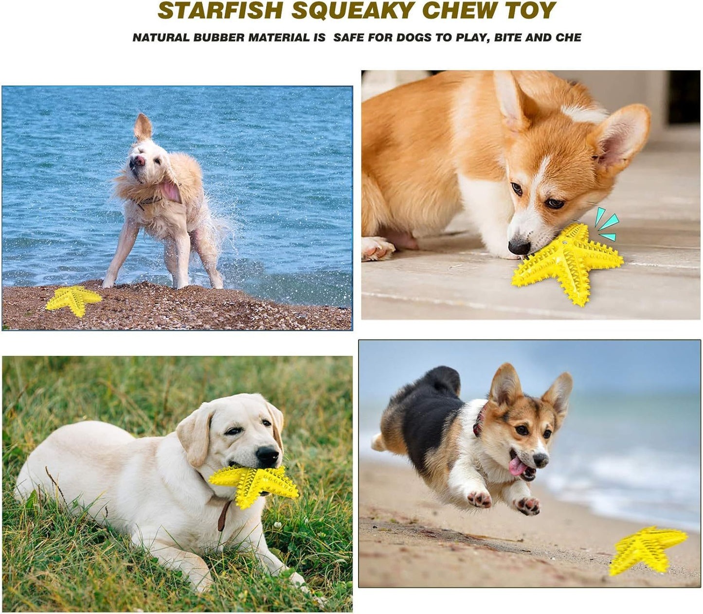 Sounding Starfish  The Natural Toothbrush For Small And Medium Dogs Starfish Natural Tooth Brush Teeth Cleaning