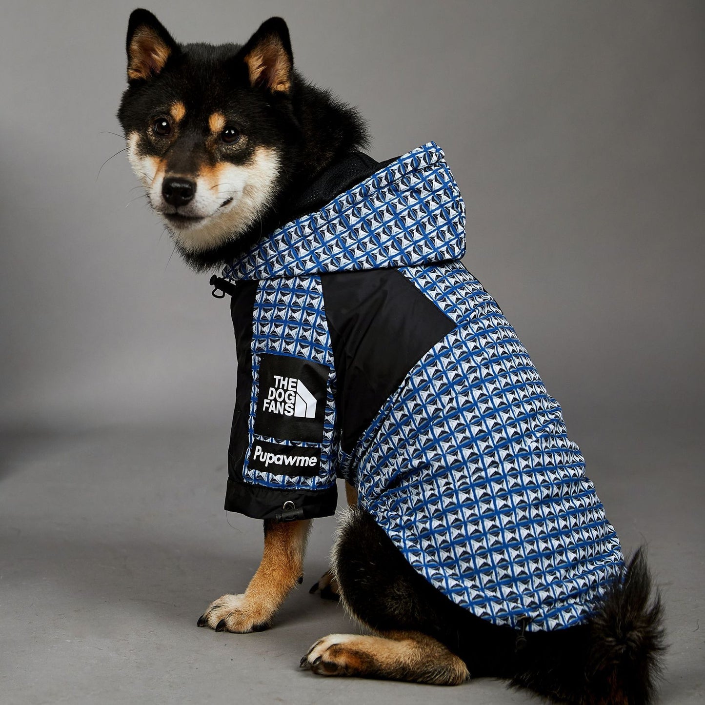 Veste imperméable coupe-vent et imperméable pour chien, nouvelle marque de mode