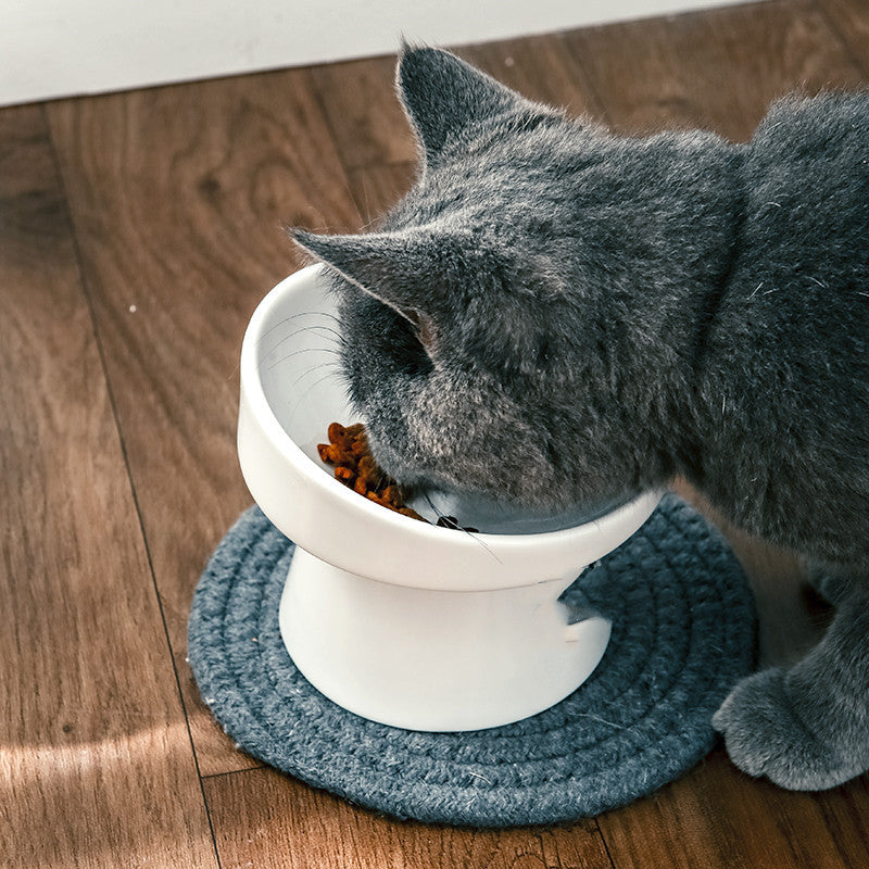 Gamelle pour chat en céramique à pied haut et à 1 gamelle oblique