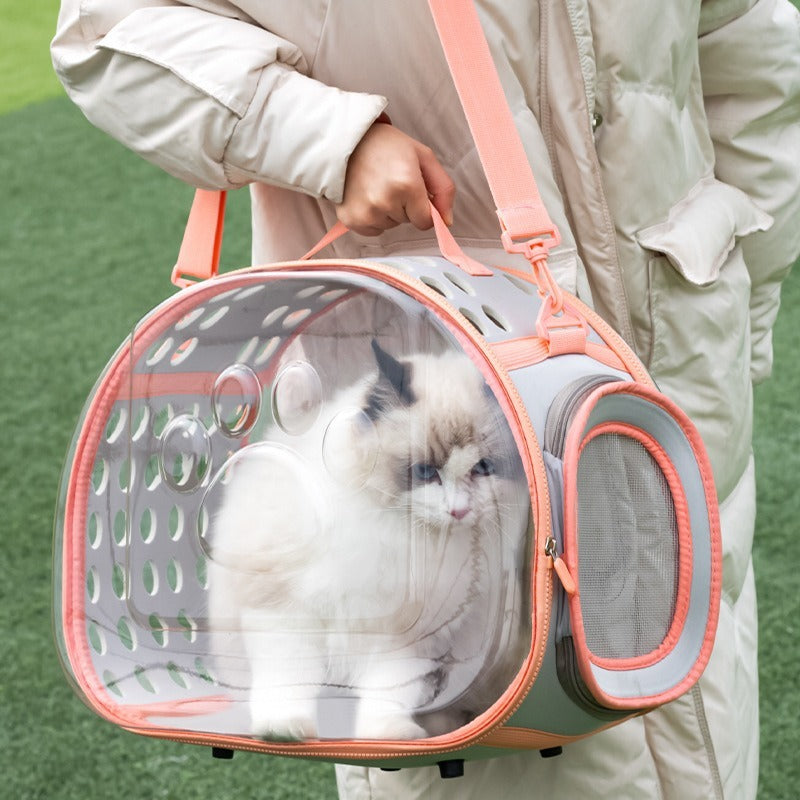 Sac à dos transparent pour chat de compagnie, capsule spatiale