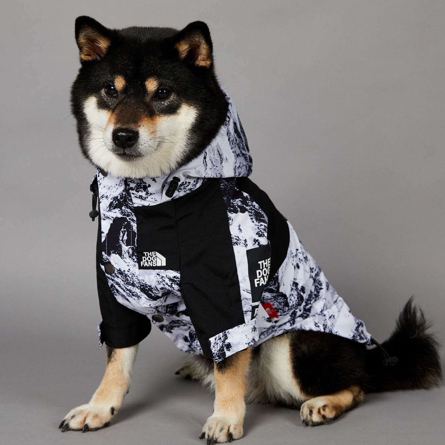 Veste imperméable coupe-vent et imperméable pour grands chiens