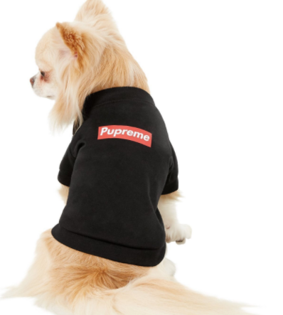 Ropa fina y transpirable para mascotas de verano