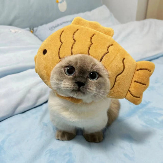 Personalidad de la moda y creatividad Sombrero de gatito