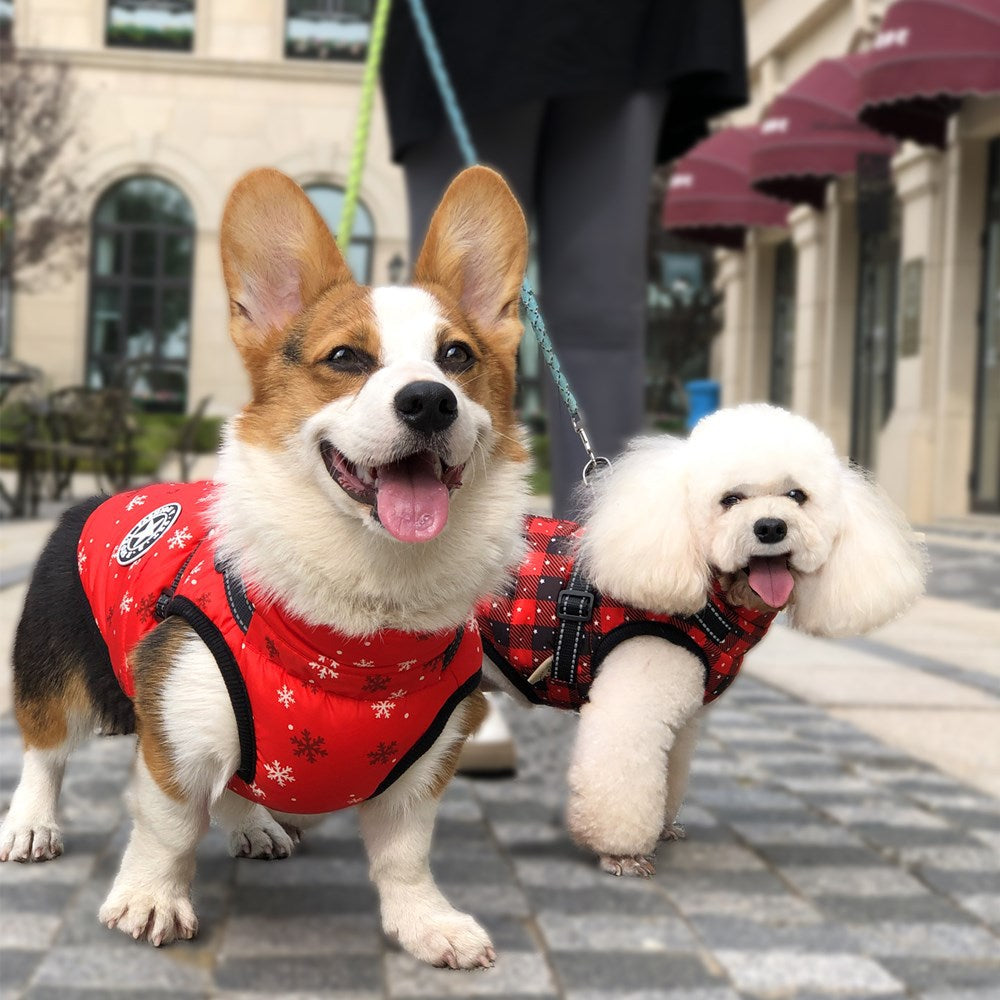 Ropa de otoño e invierno, ropa cálida para mascotas, cinta reflectante impermeable, pecho, espalda, algodón para perros