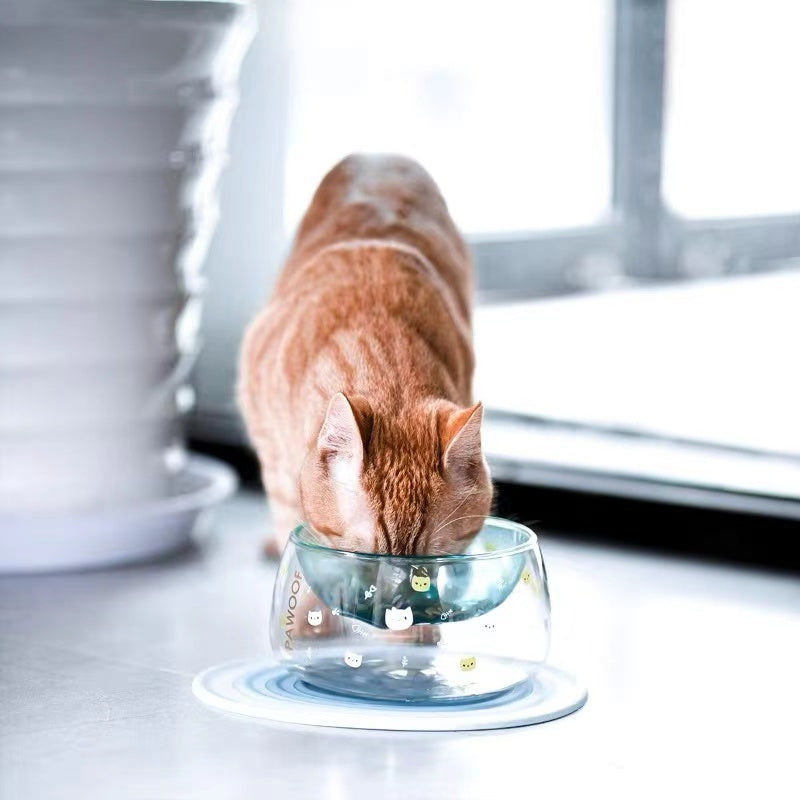 Accueil Bol créatif en verre à griffes de chat