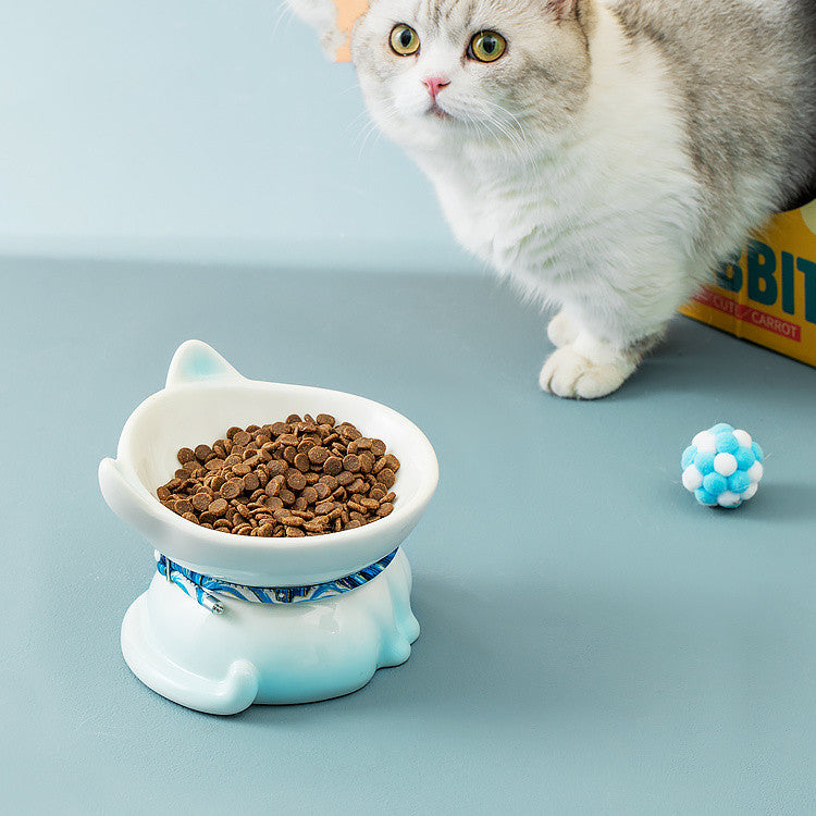 Bol de nourriture pour chat de vertèbre cervicale de protection en céramique