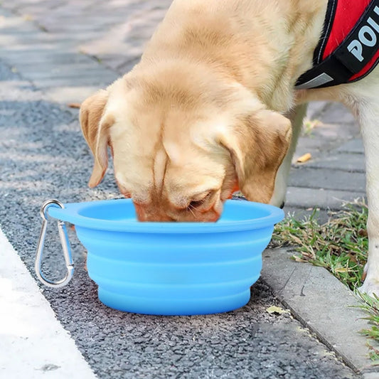 Cuenco plegable de silicona para perros al aire libre Cuenco para mascotas para beber y comer Cuenco de doble propósito Cuenco portátil para perros