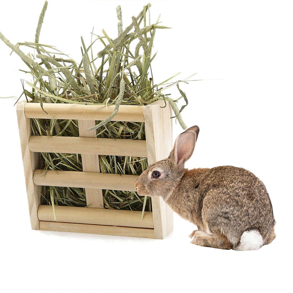 Support à herbe en bois et boîte à nourriture lapin chinchilla