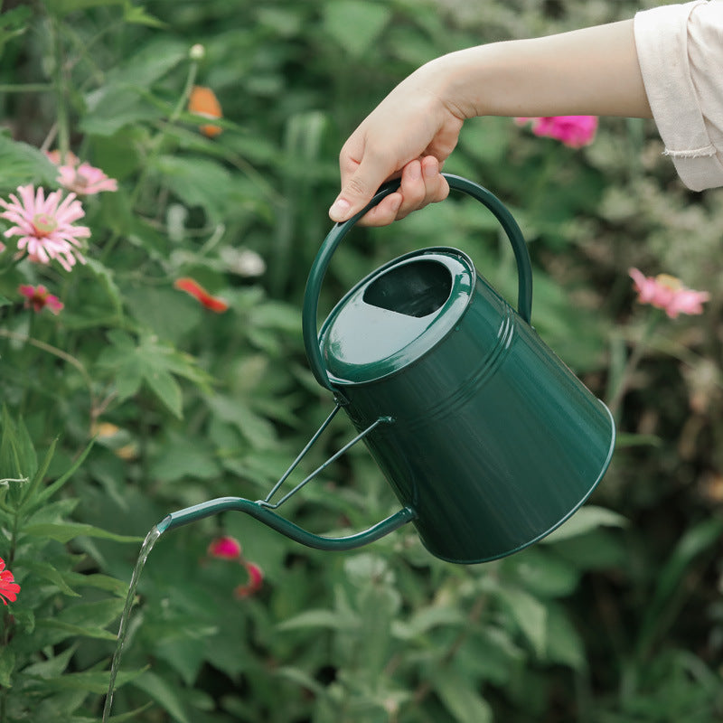 Arrosoir galvanisé vintage, outil de jardin