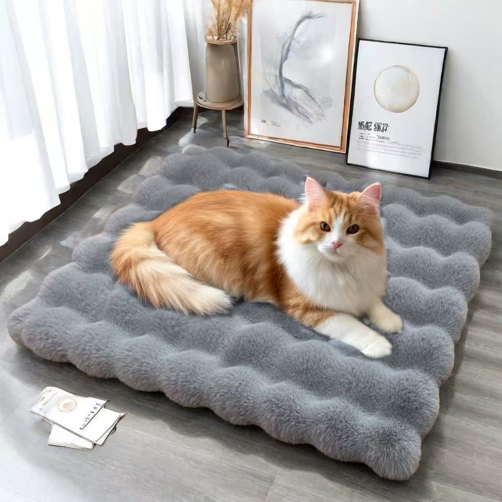 Coussin de lit pour chat Coussin pour chat pour dormir Coussin pour chat Lit pour chien Coussin pour animal de compagnie Coussin pour chien Coussin pour chat Couverture 