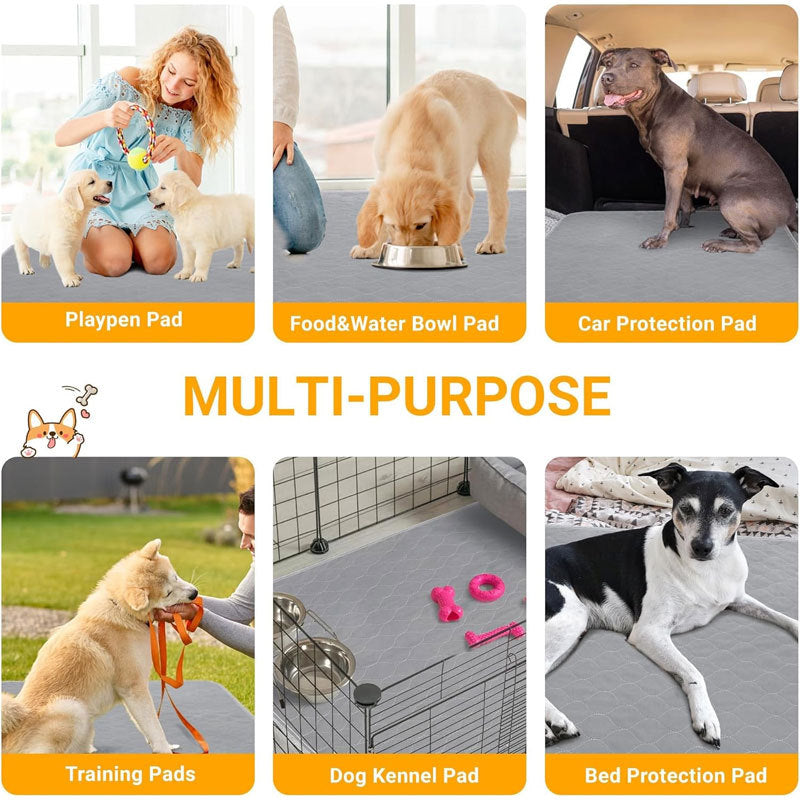 Pet Parents Pads Washable Dog Pee Pads Of Premium Pee Pads For Dogs Waterproof Training Pads For Dogs  Reusable Dog Pee Pads Modern Puppy Pads