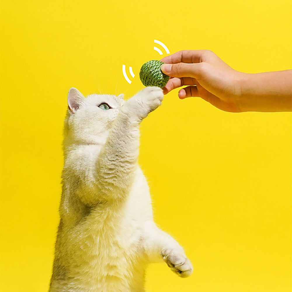 3 pièces balles de jouet pour chat, balles de jeu interactives pour animaux de compagnie corde de sisal jouet à mâcher à gratter avec son bruissant stockage de gousses de pois pour la chasse d'entraînement de chaton en intérieur