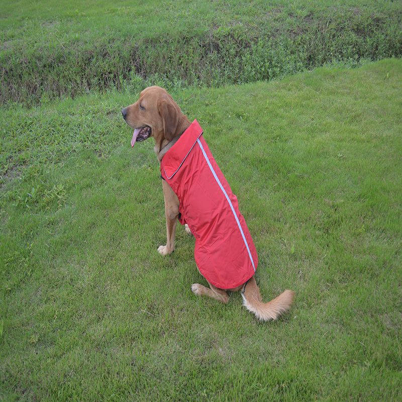 Ropa para perros Chaqueta exterior impermeable impermeable