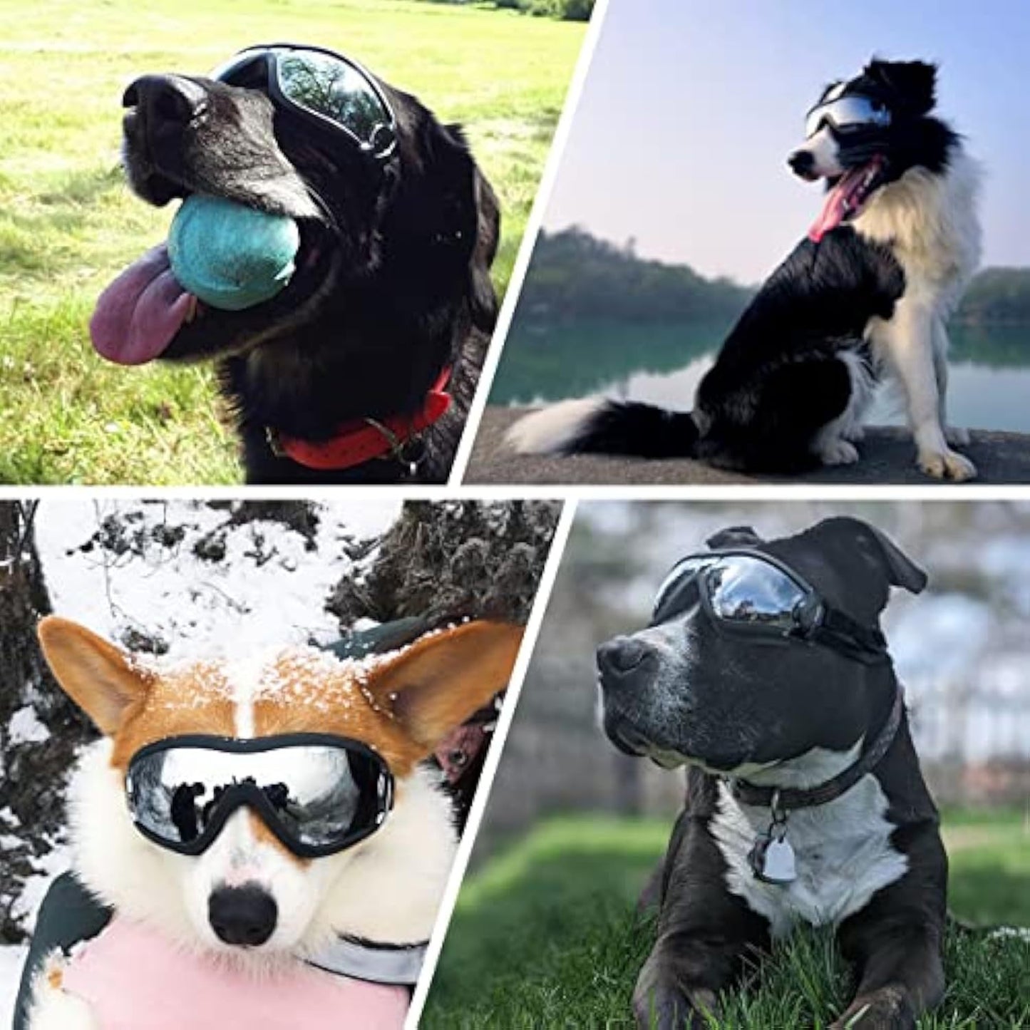 Elegantes gafas de sol para perros a prueba de viento, hermosas gafas para mascotas para razas grandes y medianas con protección solar, antivaho y correa ajustable para conducir, nadar, surfear 