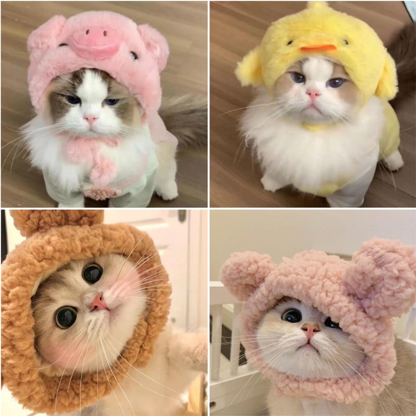 Personalidad de la moda y creatividad Sombrero de gatito