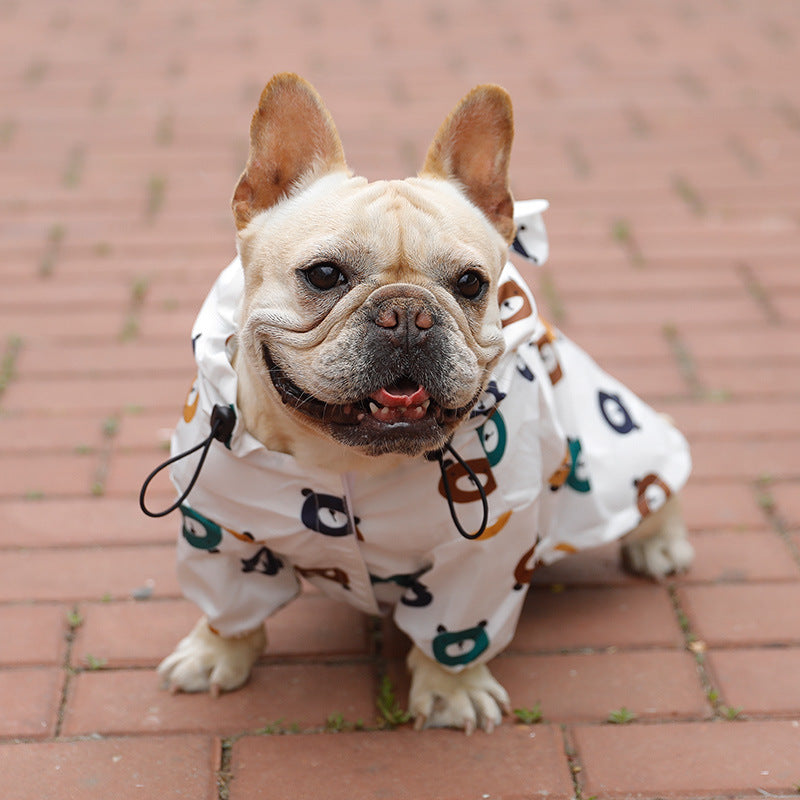 Vêtements d'ours imperméables pour chiens, minces pour le printemps et l'automne