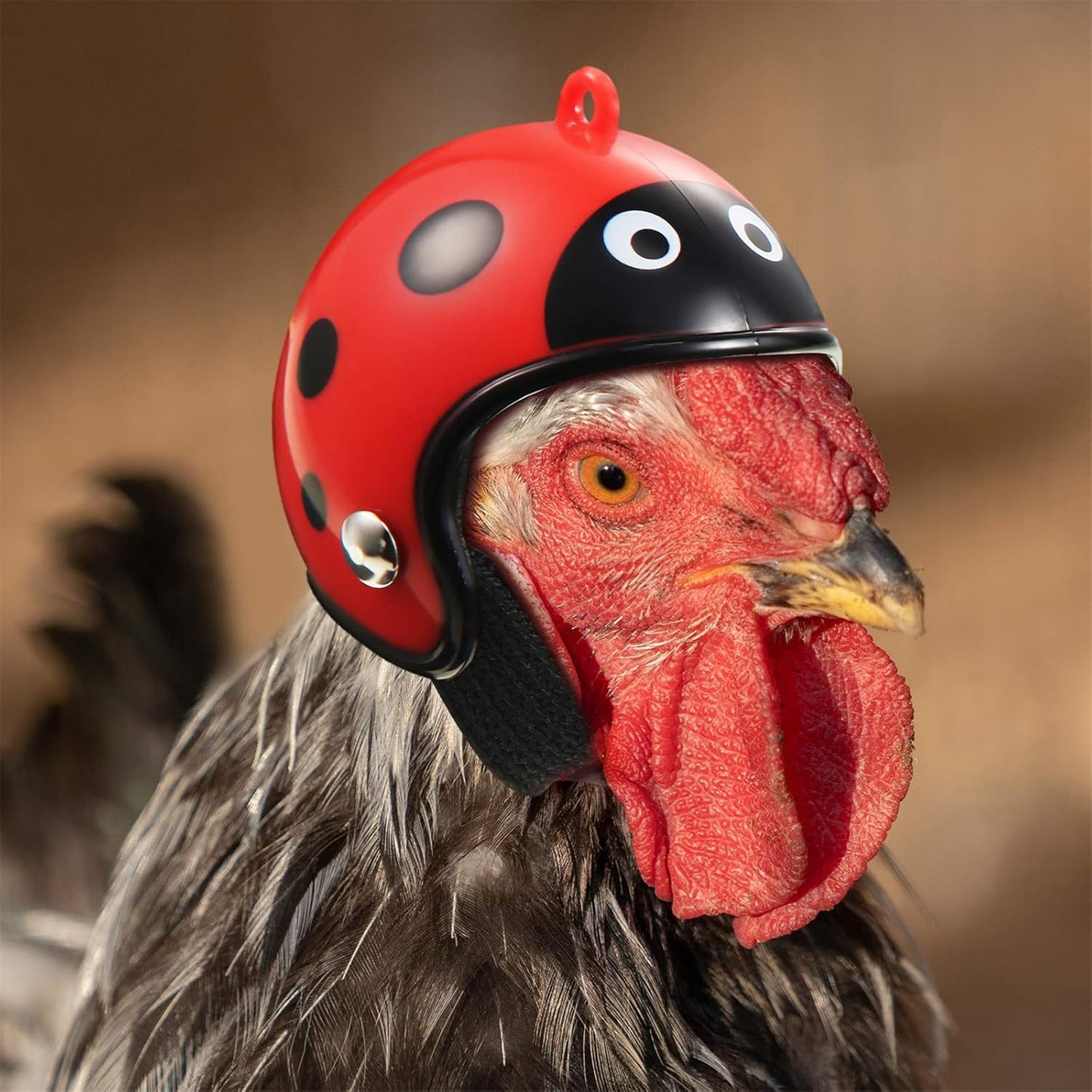 Hens Helmet Chicken Pet Safety Funny Parrot Bird Hat Headwear Small Hard Costumes Accessories For Parakeet