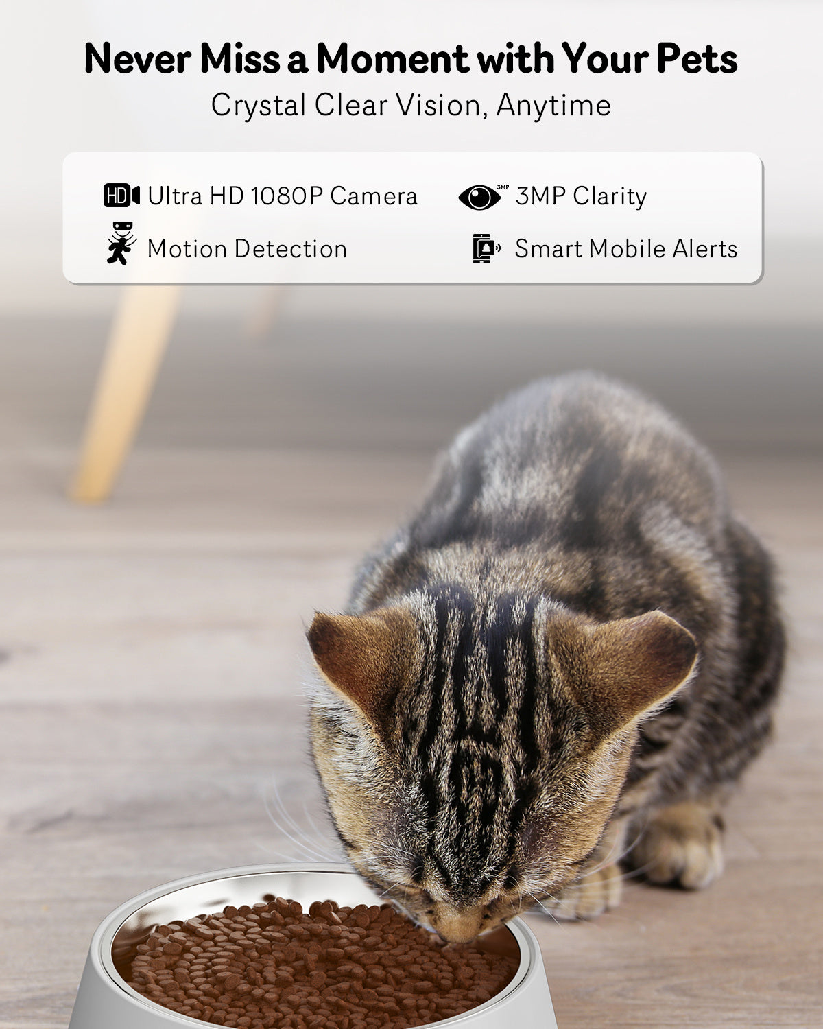 Comedero automático para gatos con cámara, vídeo HD de 1080P, visión nocturna, WiFi 5G, audio bidireccional, grabadora de voz de 10 s, bajo contenido de comida y bloqueos