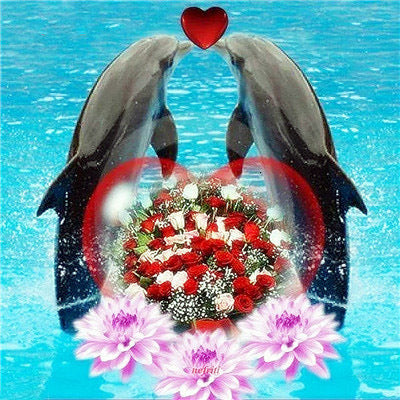 All Square Round Diamond 5D DIY Diamond Painting Animal Dolphin Lover 3D Embroidery Cross Stitch 5D Home Decoration Gift