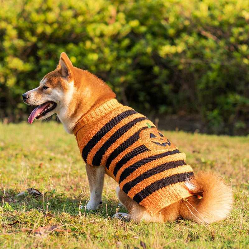 Suéteres para perros de Halloween, disfraz para mascotas, suéter cálido de ocio, ropa de Cosplay para perros, trajes para mascotas