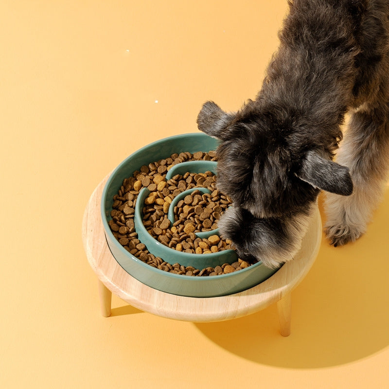 Bol de protection du cou en céramique pour animaux de compagnie Slow Food