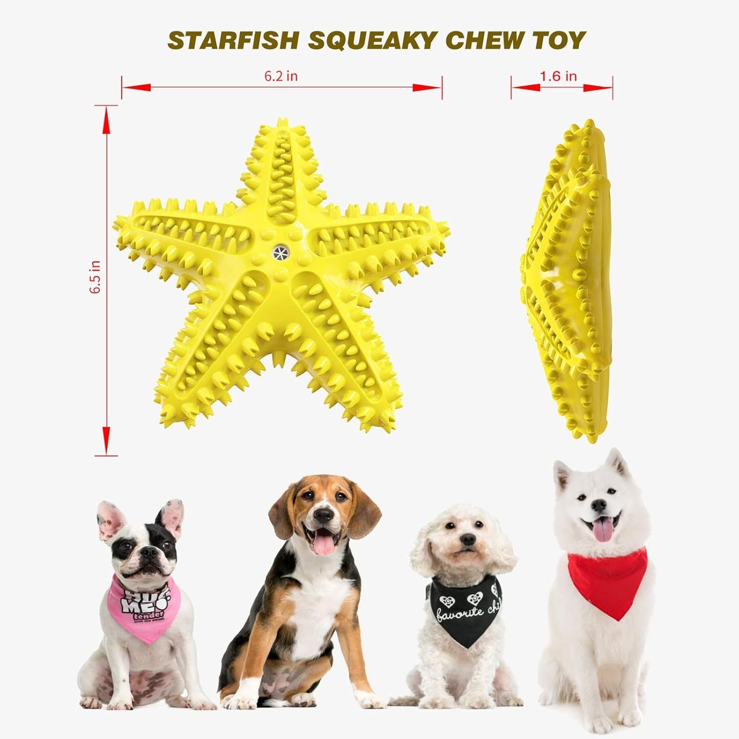 Sounding Starfish  The Natural Toothbrush For Small And Medium Dogs Starfish Natural Tooth Brush Teeth Cleaning