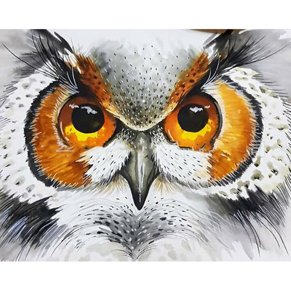 5d Diamond Painting Full Diamond Animal Owl Diy Diamond Embroidery Decorative Painting Decoration Living Room Landscape