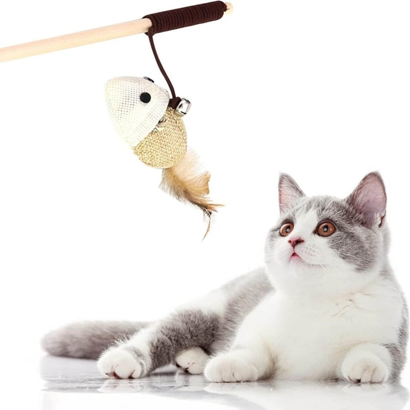 Jouets en plumes pour chaton, baguette colorée amusante, jouets en bois pour chat, bâton interactif, fournitures pour chat