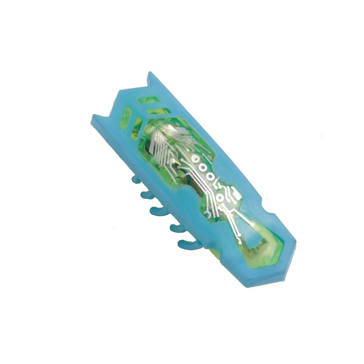 Juguete para morder cepillo de dientes Micro Nano Worm