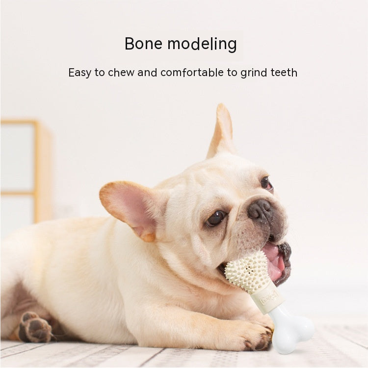 Jouet pour chien dentifrice rechargeable en os