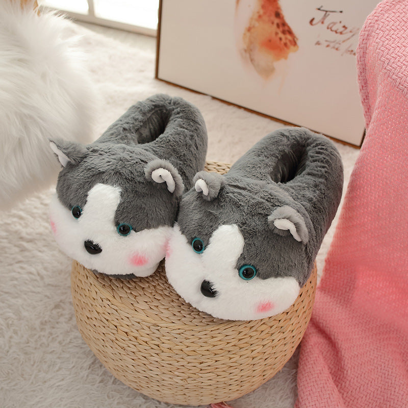 Pantuflas cálidas de invierno para perros y animales en el suelo del hogar