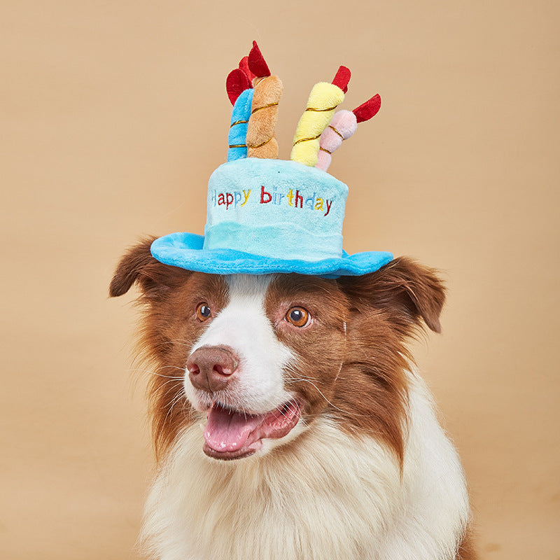 Lindo sombrero de cumpleaños para perro, juguete de regalo de cumpleaños para perro