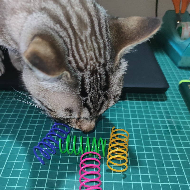 Kitten Cat Toys Wide Durable Heavy Gauge Cat Spring Toy Colorful Springs Cat Pet Toy Coil Spiral Springs