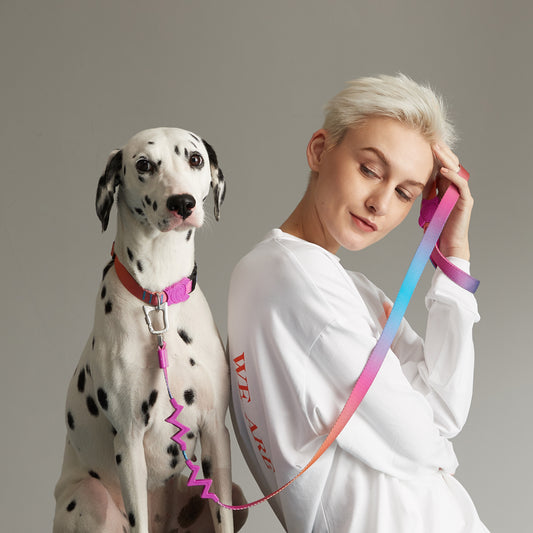 Buffer And Shock-absorbing Dog Pet Leash