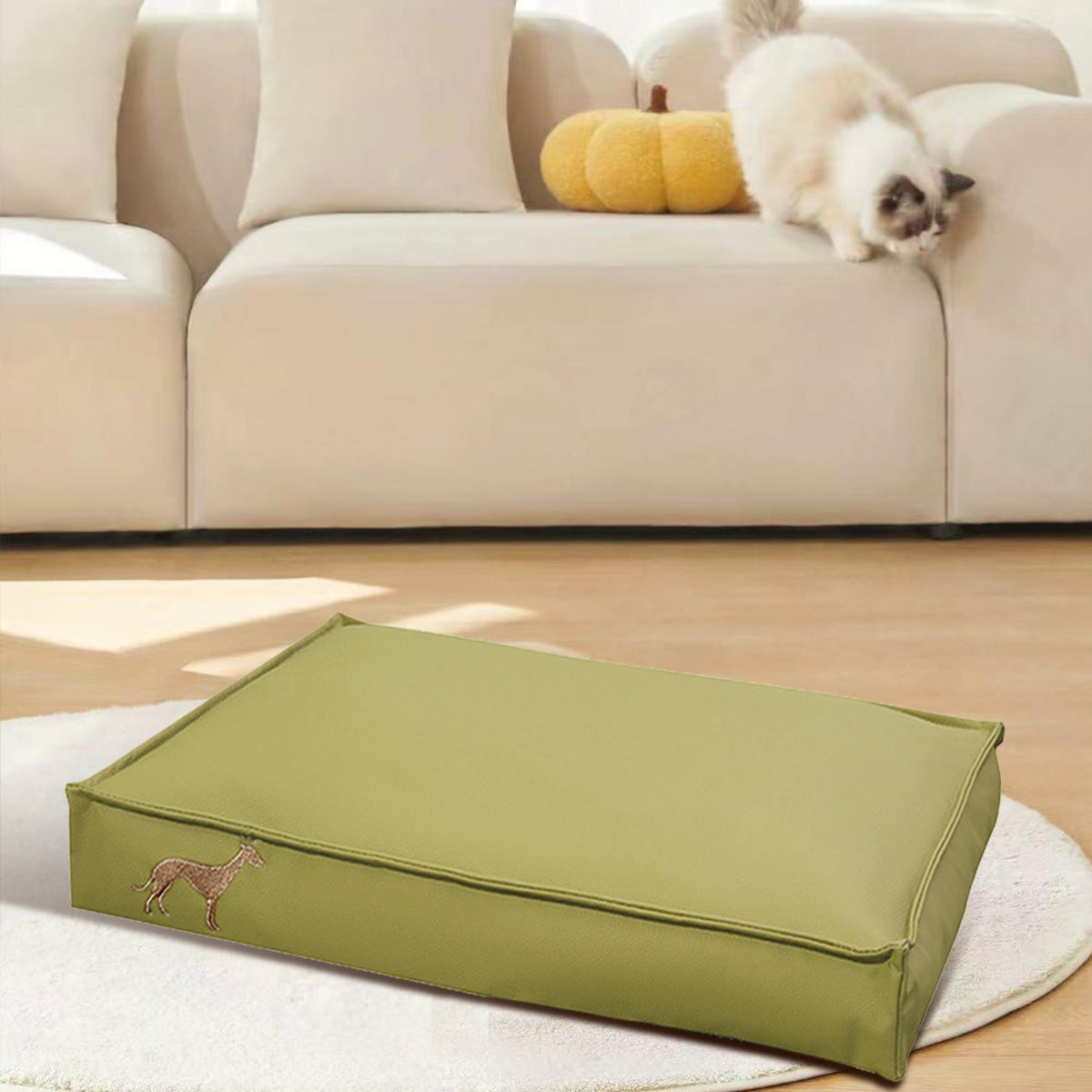 Tapis de litière pour chat imperméable, amovible et lavable, résistant aux rayures