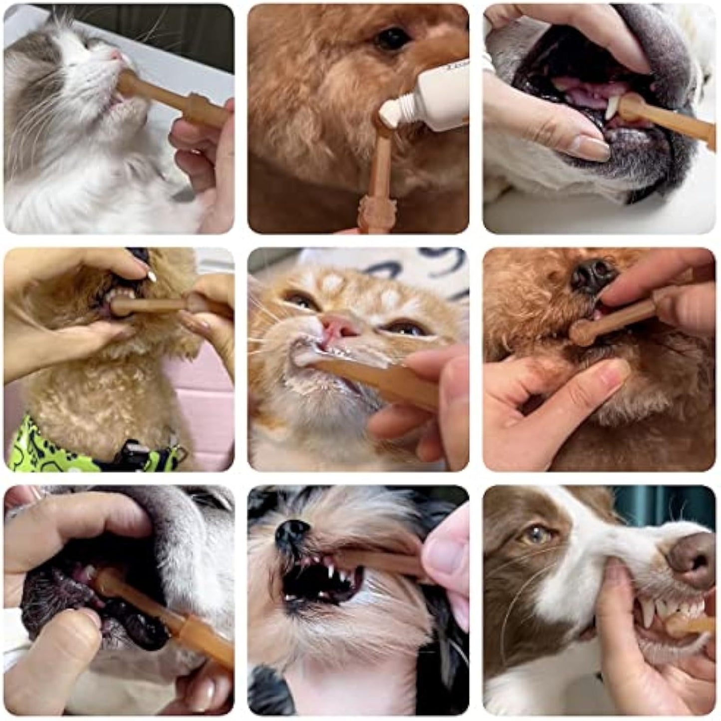 Cepillo De Dientes Para Perros De 360 ​​Ángulos Con Cepillo De Limpieza De Lengua, Kit De Cepillo De Dientes Para Mascotas De Silicona Para Gatos Y Perros Con Taza De Almacenamiento - Cuidado Dental Para Animales Pequeños 