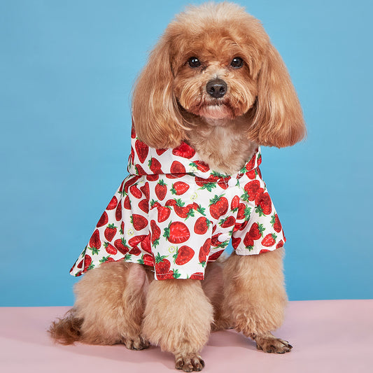 Strawberry Pattern Spring And Summer Dog Clothes Waterproof