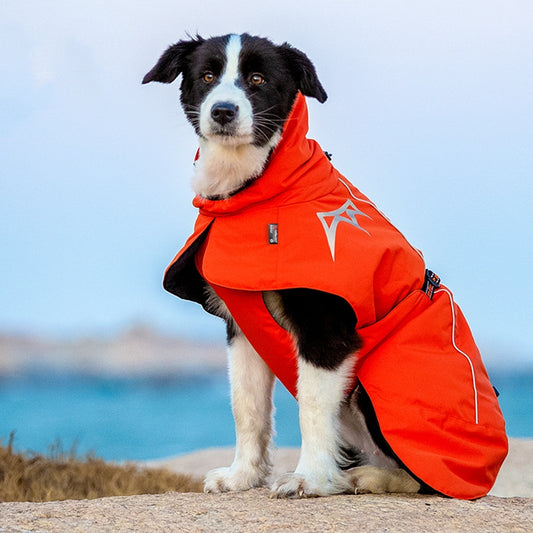 Ropa acolchada de algodón para perros, otoño e invierno, impermeable, cálida con terciopelo