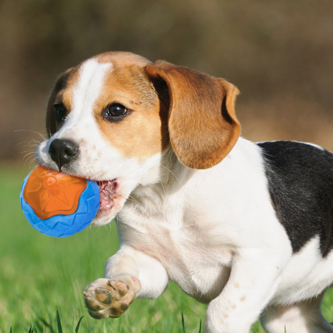 Pelota de juguete para perros con brillo audible, puede flotar, rechinar los dientes, juguete para mascotas