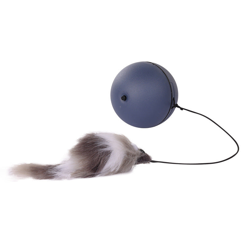 Jouet interactif pour chat, balle à mouvement automatique pour chien et chat, jouet électrique à activation par le mouvement, jouets d'enrichissement pour chats d'intérieur qui s'ennuient, jouets intelligents à roulement automatique pour chat