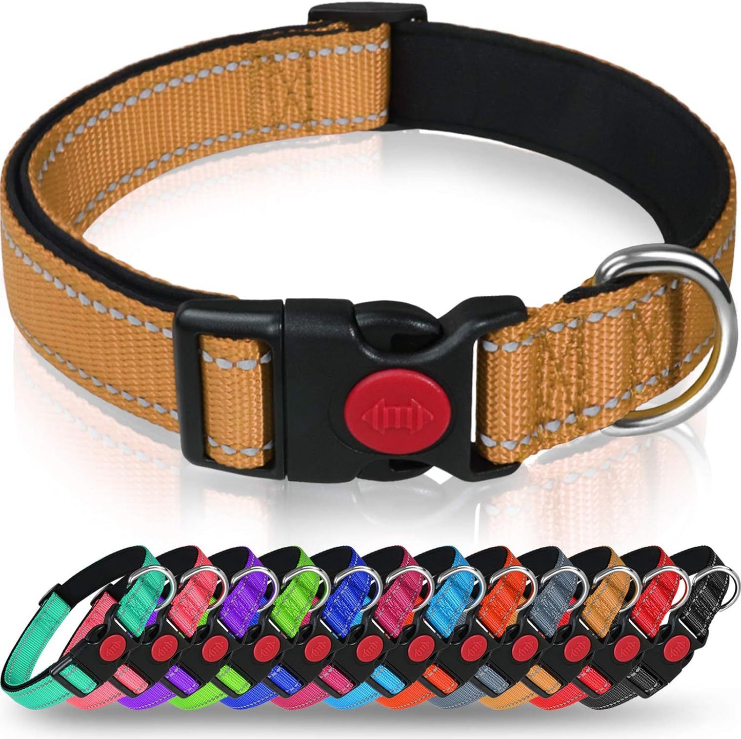 Adjustable Reflective Nylon Webbing Dog Collar