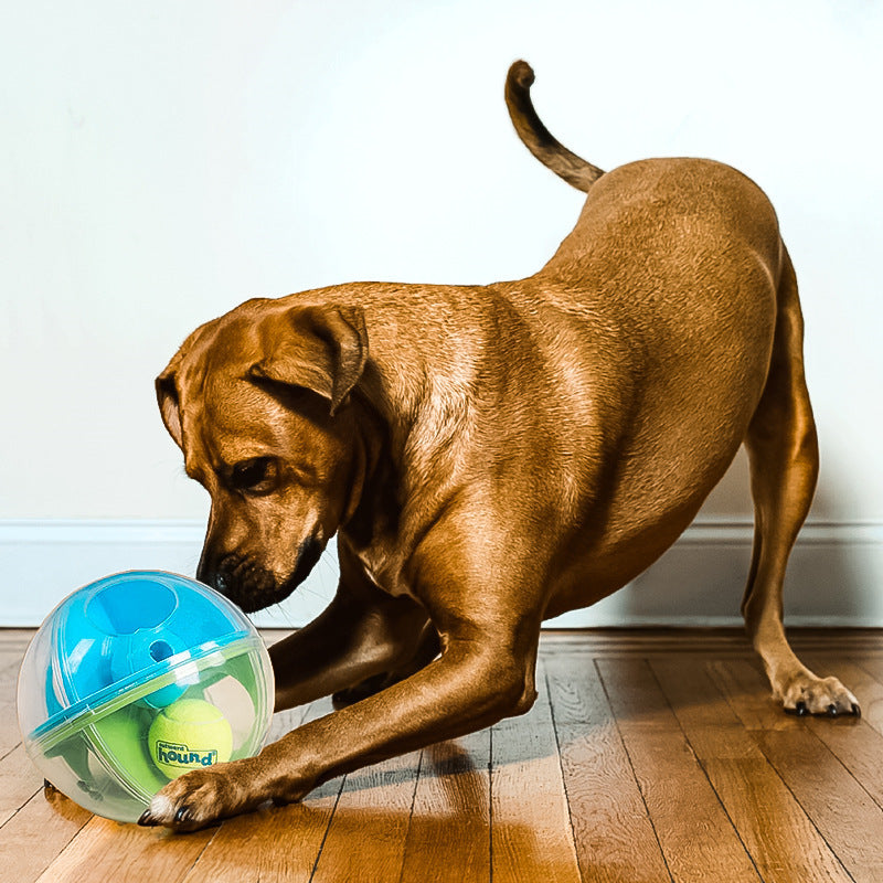 Jouet pour chien soulageant le puzzle sonore d'artefact étouffant