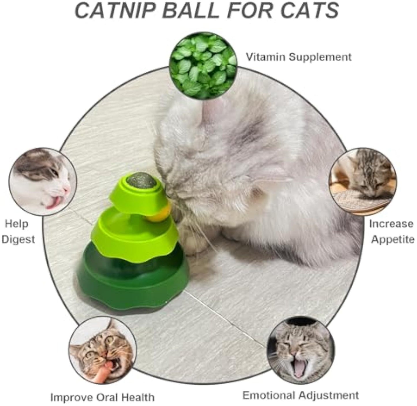 Jouet de piste avec boules d'herbe à chat Jouets pour chat Roller Track-2 en 1 Jouets d'herbe à chat pour chats avec boules de piste Puzzle interactif d'exercice physique mental pour chaton Jouets pour chaton