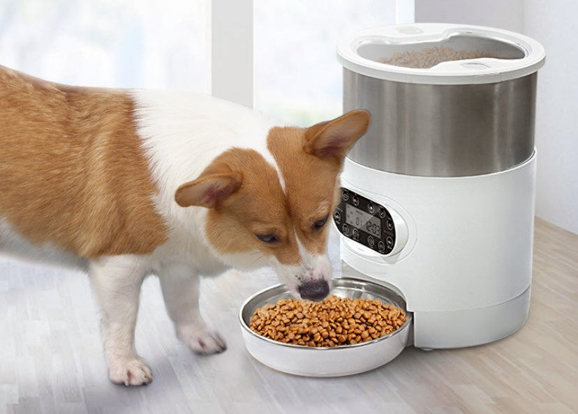 Mangeoire pour animal domestique intelligente, distributeur automatique de nourriture pour chats et chiens, bol en acier inoxydable pour chats et chiens avec enregistrement de l'alimentation