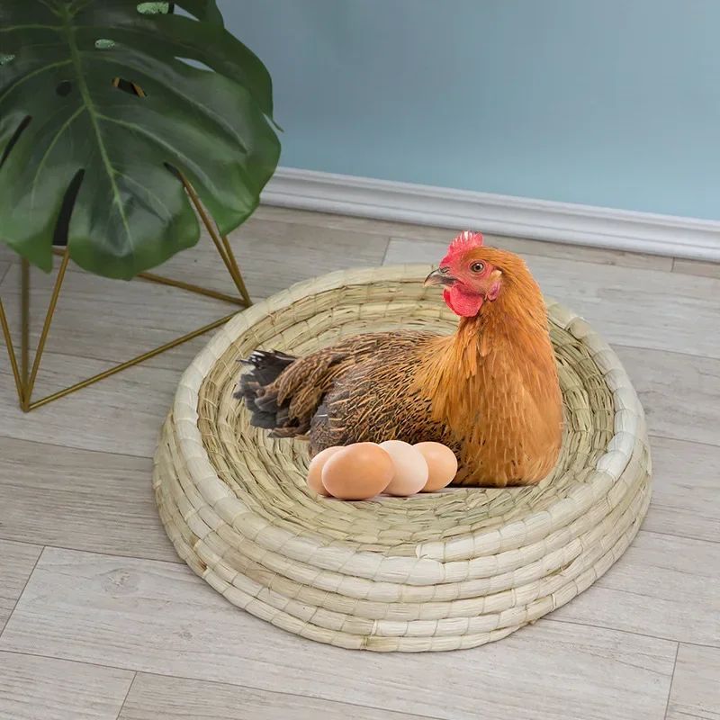 Cama tejida de paja para gatos, Nido de Pájaro, rascador para gatos, nido para mascotas en forma de cuenco, suministros de juguete para gatos, perrera tejida a mano, cama de paja para gatos