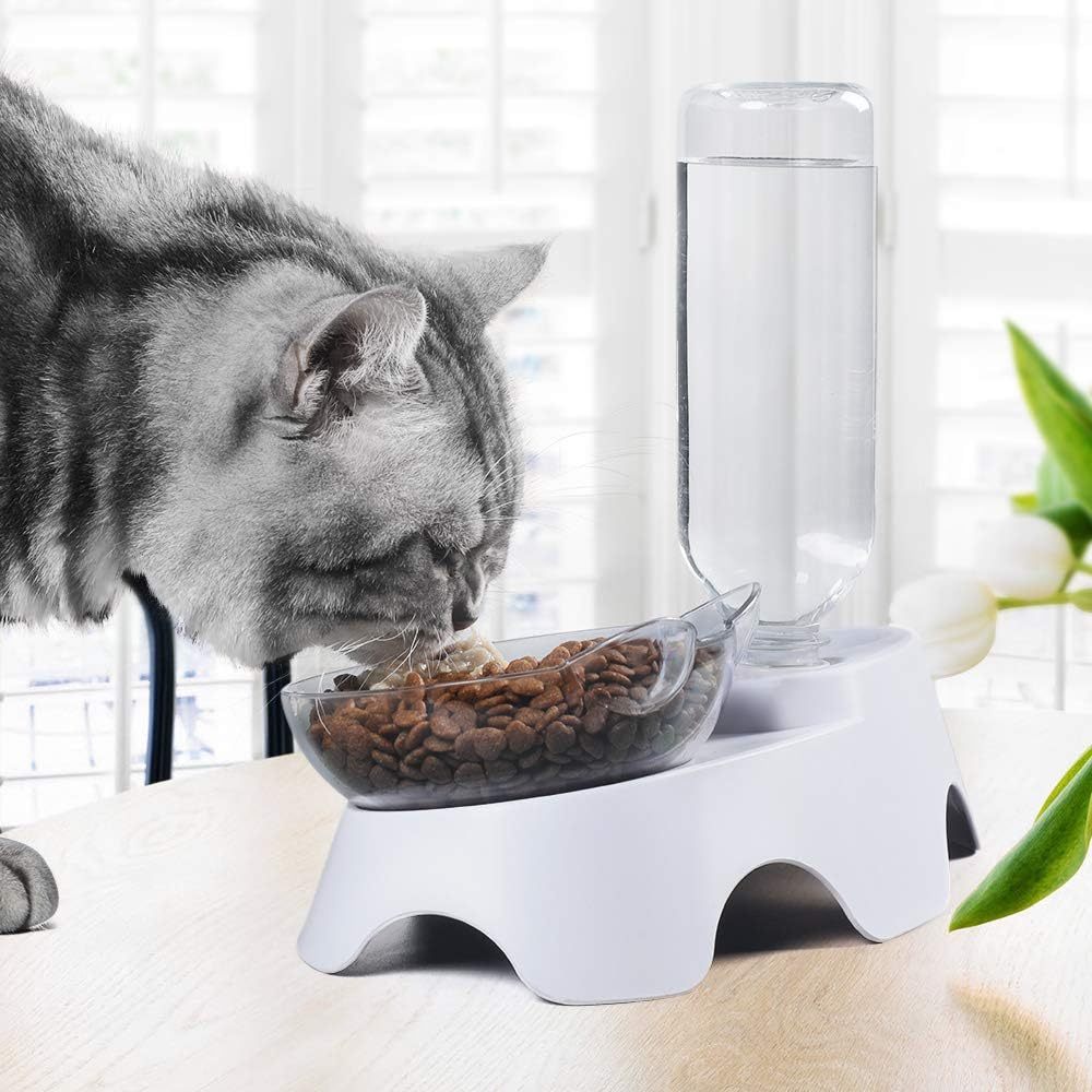 Gamelles doubles pour chiens et chats, ensemble de 15 bols d'eau et de nourriture inclinés avec bouteille d'abreuvoir automatique pour chiens et chats de petite ou moyenne taille