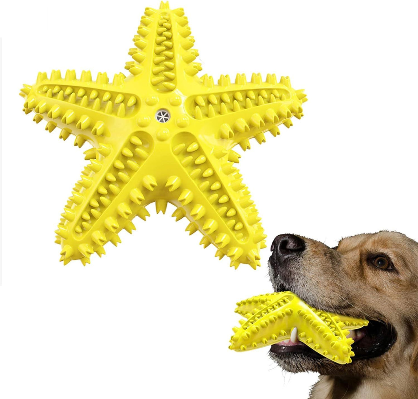 Sounding Starfish  The Natural Toothbrush For Small And Medium Dogs Starfish Natural Tooth Brush Teeth Cleaning